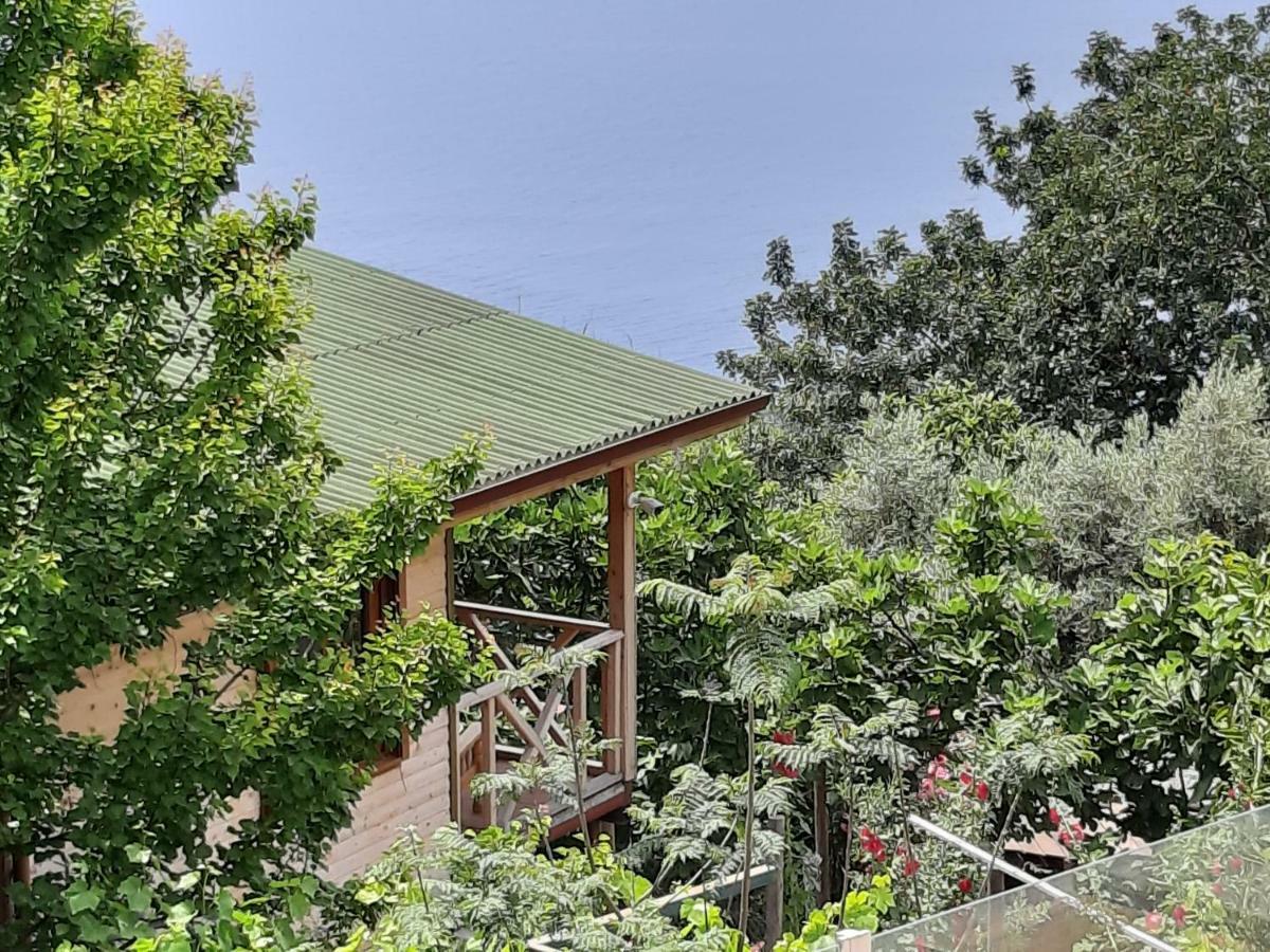 Casa Roja Apartment Cedit Екстериор снимка
